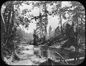 Backwoods, det vestlige USA, slutningen af det 19. eller begyndelsen af det 20. århundrede af Unbekannt