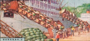 Bananas 2. - Lastning af et dampskib, Costa Rica, 1928 af Unbekannt
