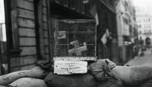 Barrikade på Rue de Chateaudun, befrielse af Paris, august 1944 af Unbekannt