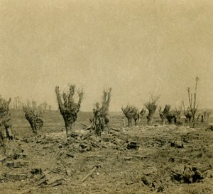 Battlefield, Maurepas, Nordfrankrig, c1914-c1918 af Unbekannt