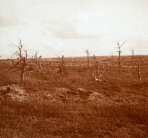 Battlefield, Tahure, Nordfrankrig, c1914-c1918 af Unbekannt