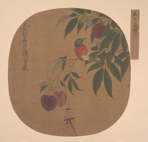 Fugl på en litchi-gren. af Unbekannt