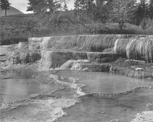 Brown Sulphur Springs, Yellowstone National Park, USA, c1900. af Unbekannt