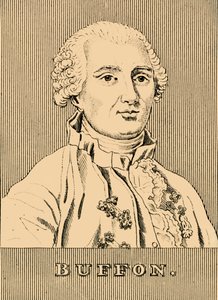 Buffon, 1707-1788, 1830. af Unbekannt