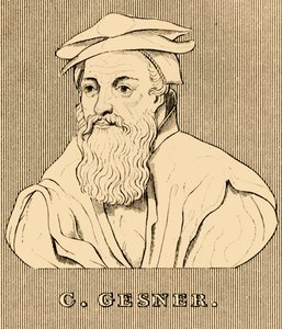 C. Gesner, 1516-1565, 1830 af Unbekannt