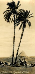 Kairo - Pyramiderne i Girzeh, c1918-c1939. af Unbekannt