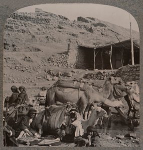 Kameltog fra Jerash, vanding ved Elisha-fontænen, ca. 1900 af Unbekannt
