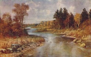 Canadisk skovscene, 1924 af Unbekannt