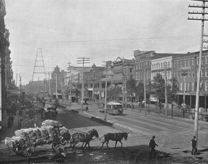 Canal Street, New Orleans, Louisiana, USA, c1900. af Unbekannt