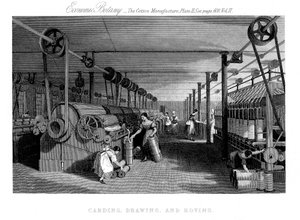 Karde, tegne og omstrejfende bomuld, c1830 af Unbekannt