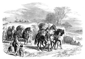 Bærer brød til London på pakkeheste, c1895 af Unbekannt