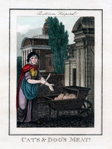 Cats and Dogs Meat!, Bethlem Hospital, London, 1805 af Unbekannt