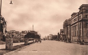 Central Avenue, Calcutta, c1900 af Unbekannt