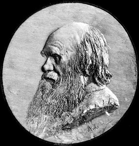 Charles Darwin, 1882 af Unbekannt