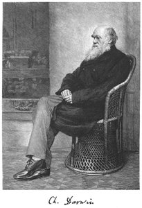 Charles Darwin, engelsk naturforsker, 1883 af Unbekannt