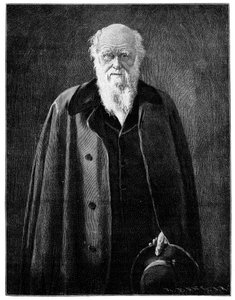 Charles Darwin, kendt naturforsker og tænker, 1900 af Unbekannt