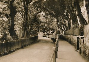 Chine Avenue, Shanklin, I.W., c1920. af Unbekannt
