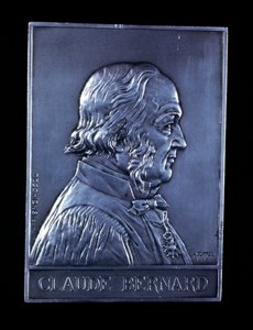 Claude Bernard, fransk fysiolog fra det 19. århundrede, 1913 af Unbekannt