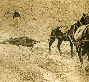 Rydning af slagmarken, c1914-c1918 af Unbekannt