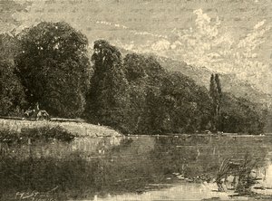 Cliefden Woods, 1898. af Unbekannt