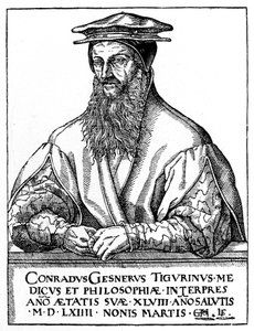 Conrad Gessner, schweizisk naturforsker, 1887 af Unbekannt