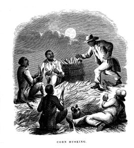 Corn Husking, sorte folk, arbejdere, der afskaller majs, det sydlige USA, c1850 af Unbekannt