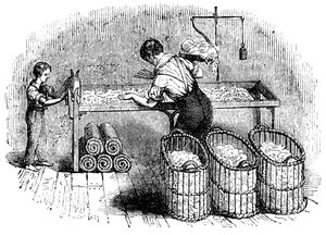 Bomuldsfremstilling, c1845 af Unbekannt