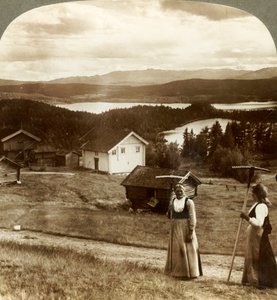 Landspiger i høtid - over Bolkesjo og Folsjo søer til Himingen Mts., Norge, c1905. af Unbekannt