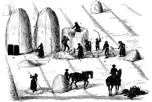 Sædskifte: tærskning af rajgræs til frø, 1855 af Unbekannt