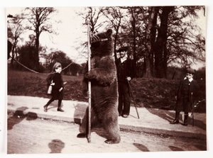 Dansende bjørn, c 1905 af Unbekannt