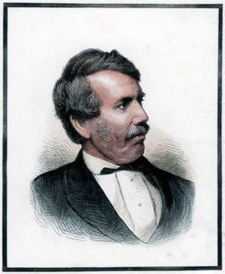 David Livingstone, skotsk missionær og afrikansk opdagelsesrejsende, 1874 af Unbekannt