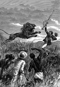 David Livingstone, skotsk missionær og afrikansk opdagelsesrejsende, anklaget af en løve, c1860 af Unbekannt