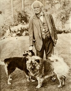 David Lloyd George, 1935. af Unbekannt