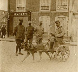 Hundevogn, Frankrig, c1914-c1918 af Unbekannt