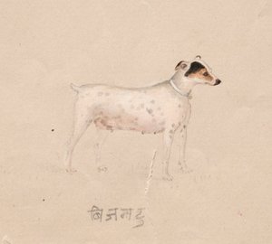 Hund, 1800-tallet. af Unbekannt