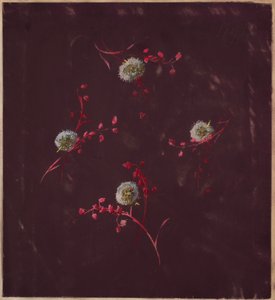 Tegning, fra Saint Germain - bind 1 & 2, ca. 1896 af Unbekannt