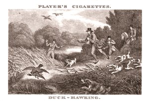 Duck-Hawking, 1924. af Unbekannt