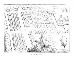 Andeøen, c1870 af Unbekannt