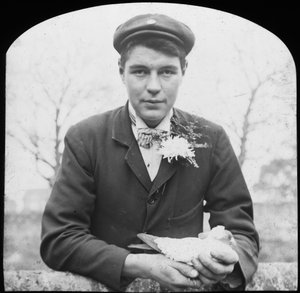 E Hack holder en due, slutningen af det 19. eller begyndelsen af det 20. århundrede af Unbekannt