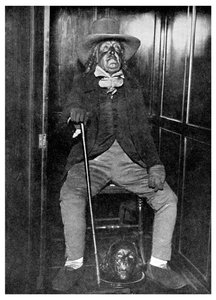 Billede af Jeremy Bentham med hans balsamerede hoved, University College, London, 1956 af Unbekannt