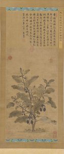 Aubergine, Ming-dynastiet, 1368-1644. af Unbekannt
