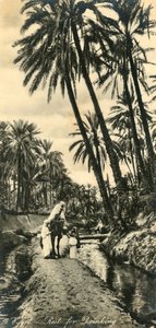 Egypten - Hvile til at drikke, c1918-c1939. af Unbekannt