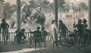 Elefantkamp ved Baroda, 1896 af Unbekannt