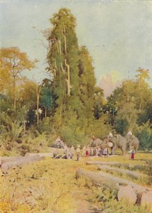 Elephants Piling Teak, 1924 af Unbekannt