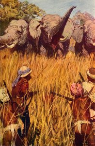 Elephants in Chase, c1850 c1912 af Unbekannt