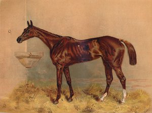 Emblem, Steeplechase Hoppe, c1879. af Unbekannt