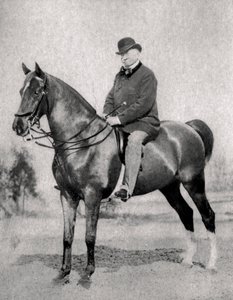 Emile de Girardin, fransk journalist, publicist og politiker, 1866 af Unbekannt