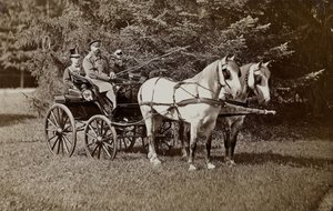 Kejser Alexander III 1845-1894 og kejserinde Maria Fyodorovna 1847-1928 på en hestevogn. af Unbekannt