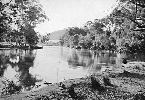 Evening Shadows, National Park, c1900. af Unbekannt