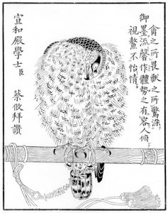 Falcon, 1886 af Unbekannt